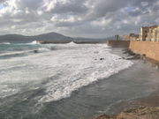 alghero.jpg alghero.jpg