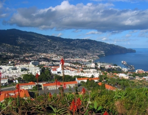 funchal_pico_da_cruz.jpg